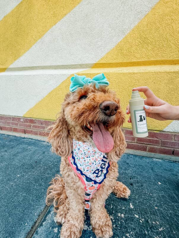 natural pet spray - herba botanicals