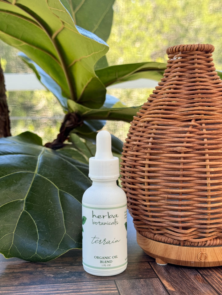 terrain oil blend - herba botanicals