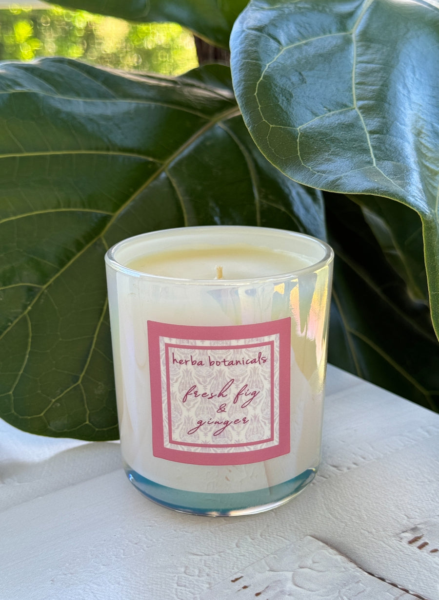 fresh figue & ginger candle - herba botanicals