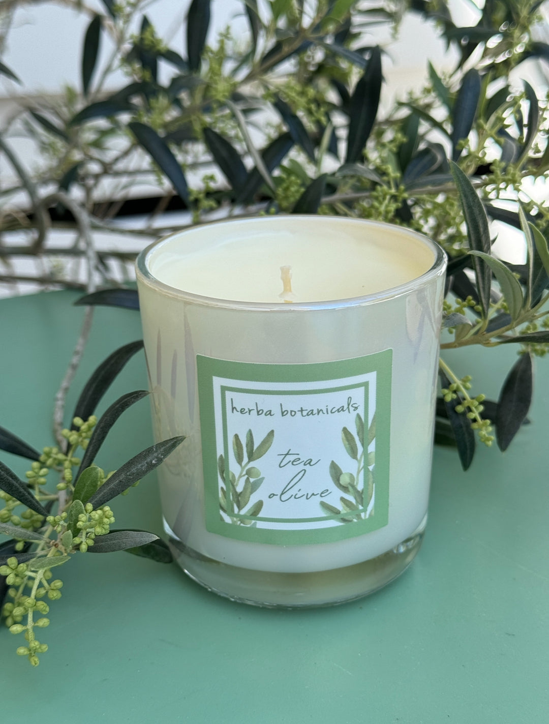 tea olive candle - herba botanicals