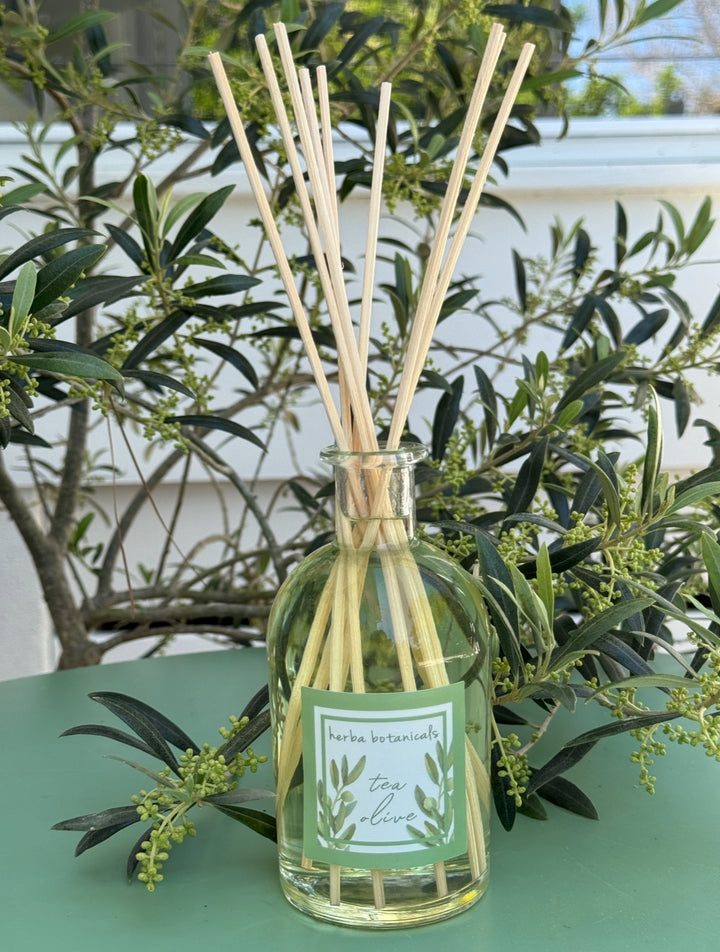 tea olive reed diffuser - herba botanicals