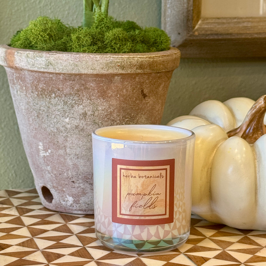 pumpkin fields candle - herba botanicals