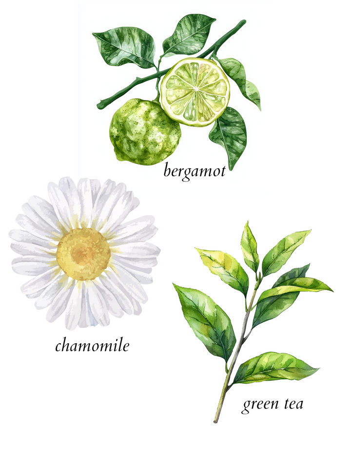 natural pet spray - herba botanicals