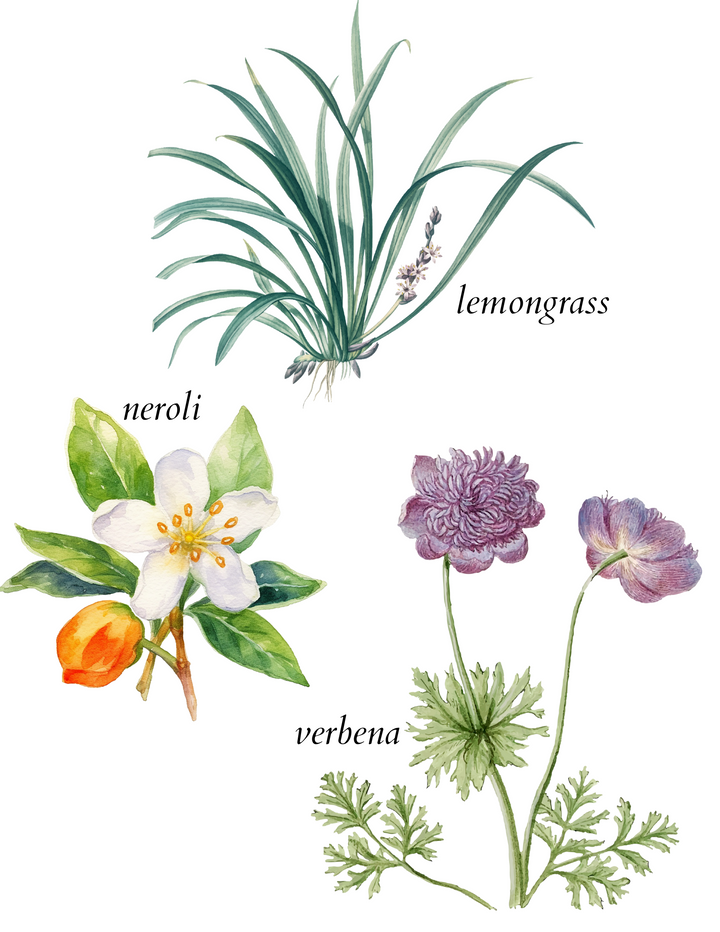 lemongrasse oil blend - herba botanicals