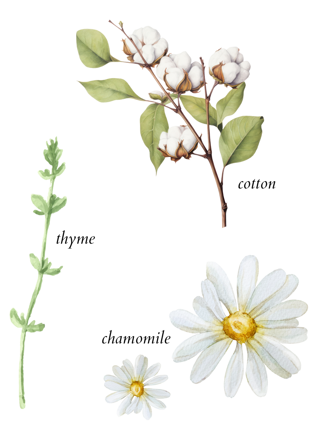 washed linen laundry fragrance booster - herba botanicals