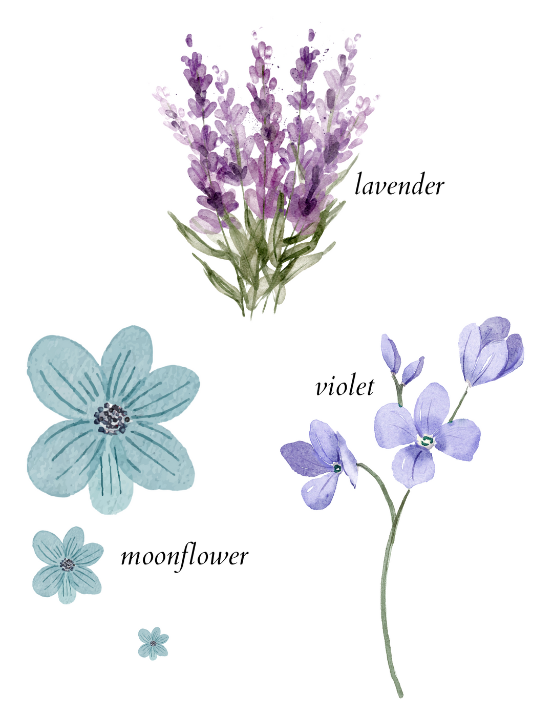 lavande home & linen spray - herba botanicals