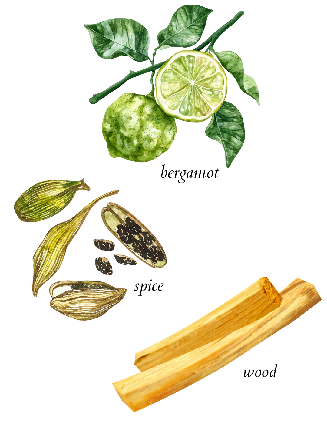 signature laundry fragrance booster - herba botanicals