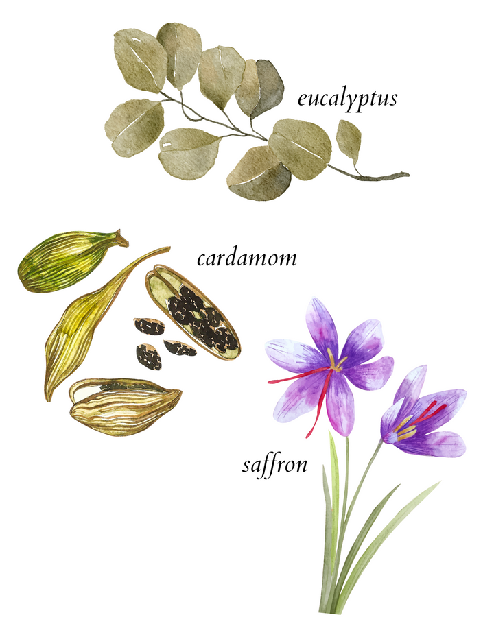 eucalyptus indian spice scented incense - herba botanicals