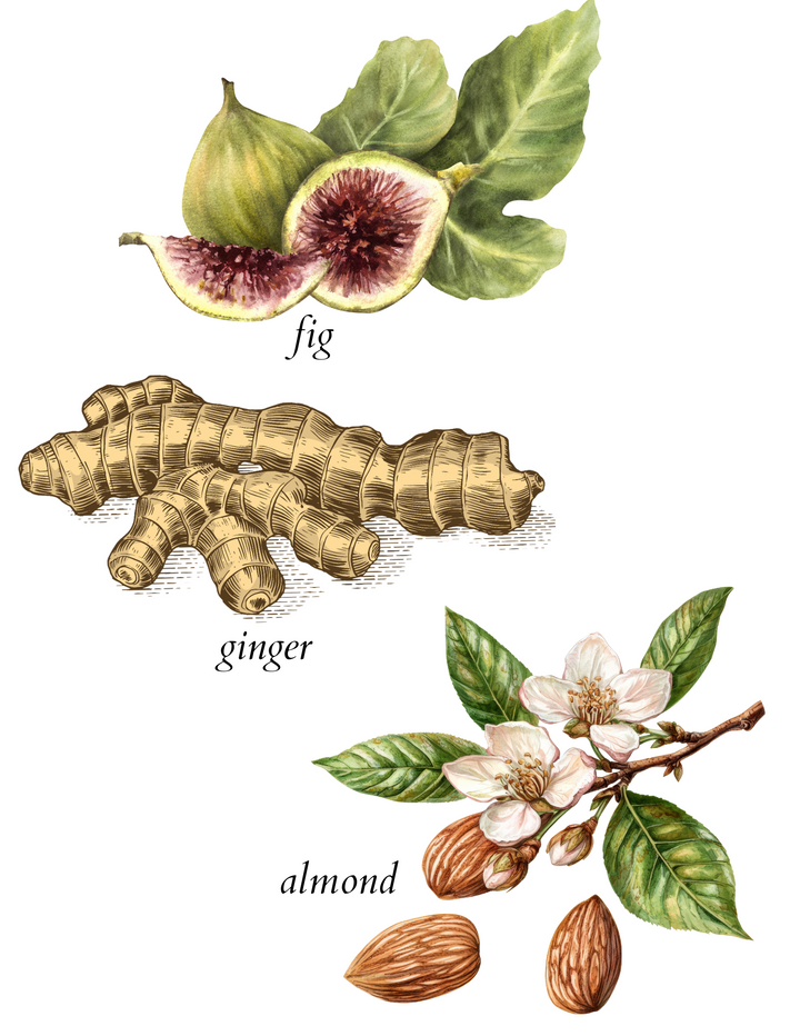 fresh figue & ginger diffuser - herba botanicals