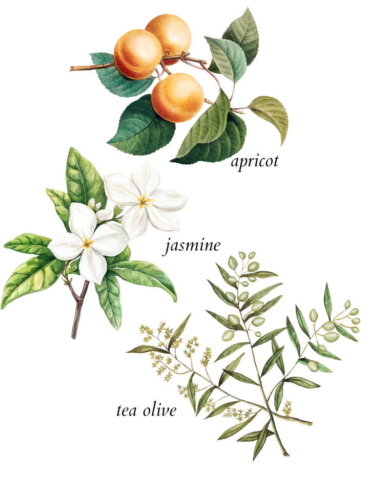 tea olive laundry fragrance booster - herba botanicals