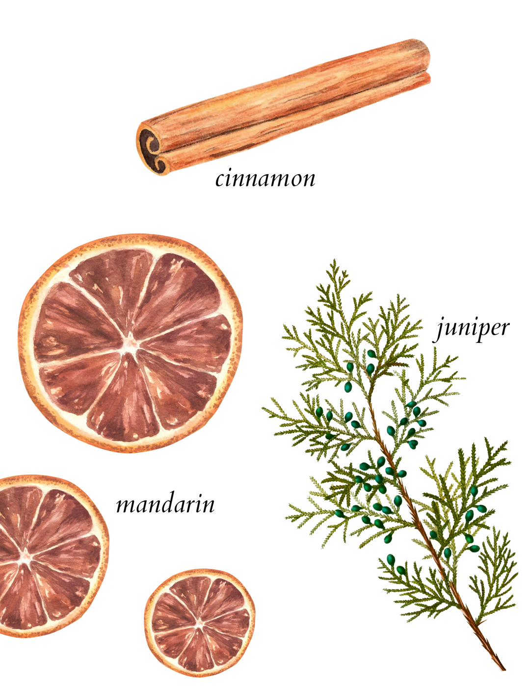 topiary diffuser - herba botanicals