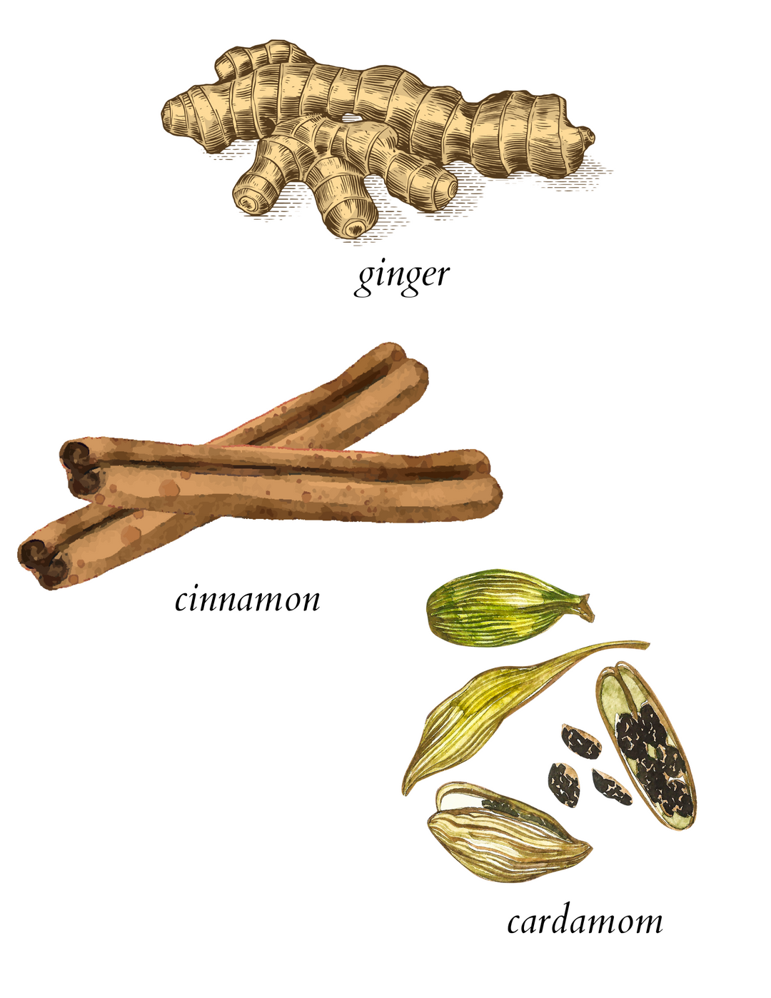 pumpkin fields diffuser - herba botanicals
