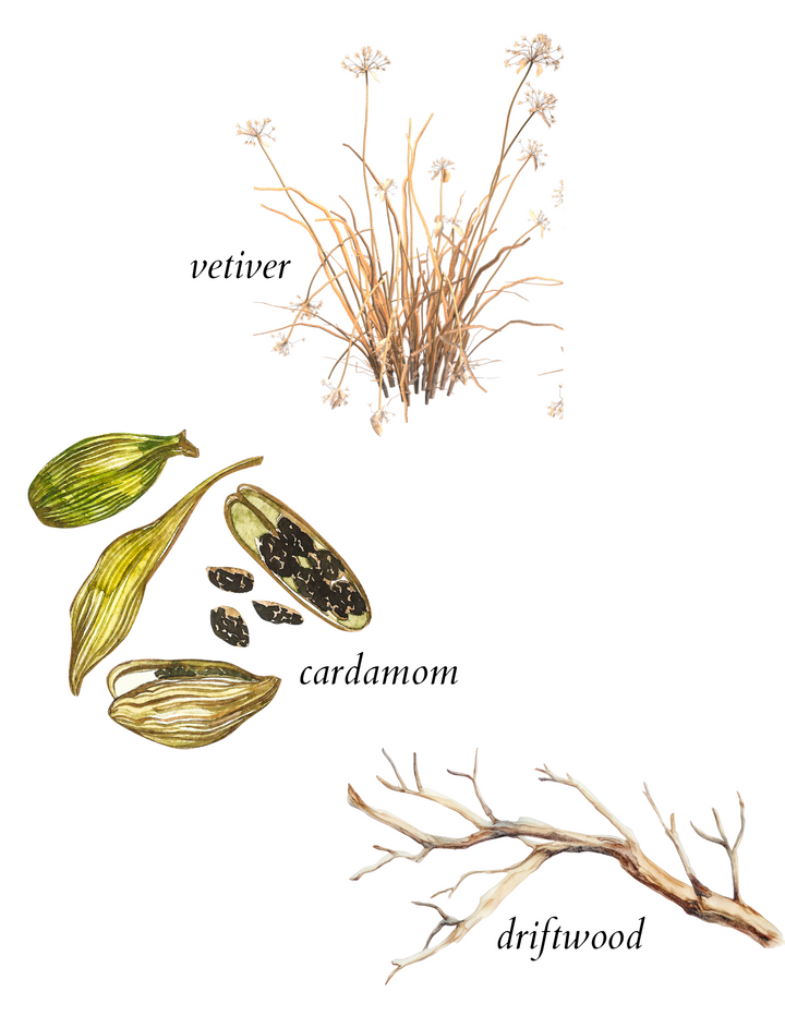 terrain eau de parfum - herba botanicals