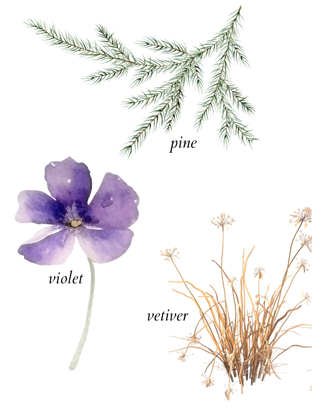 desert pine candle - herba botanicals