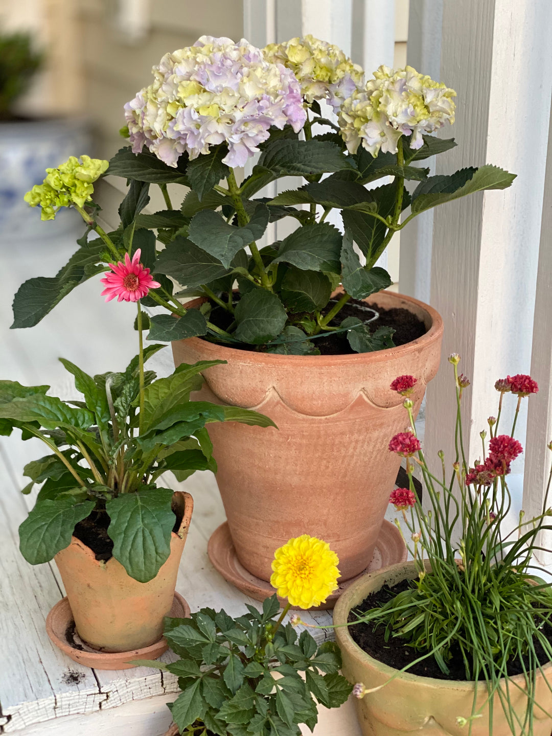 Mother's Bouquet Makes the Perfect Gift