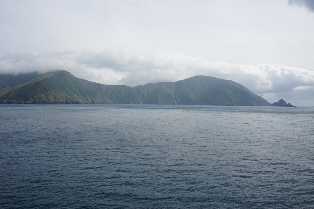 herba botanicals new zealand terrain