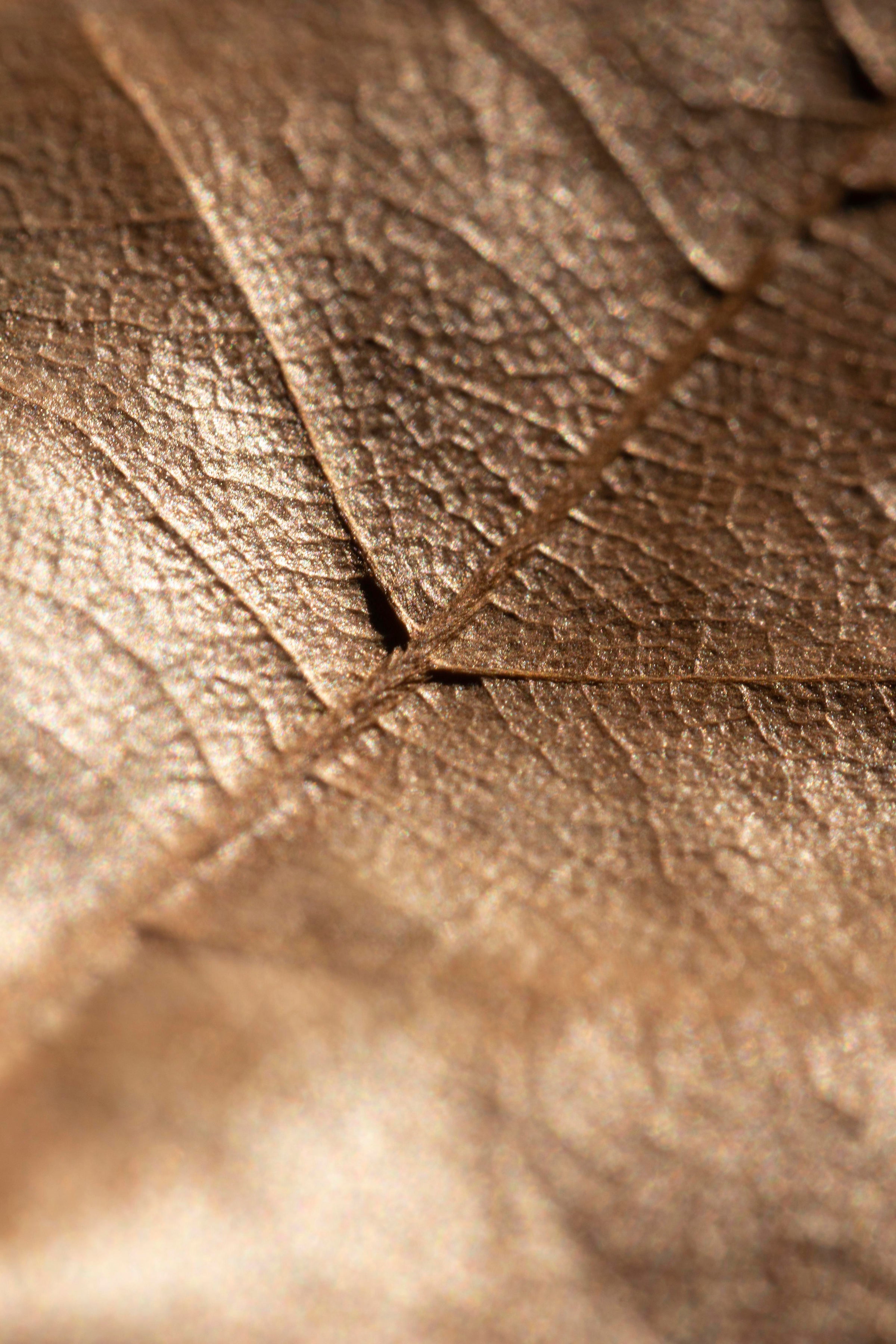 moroccan leather