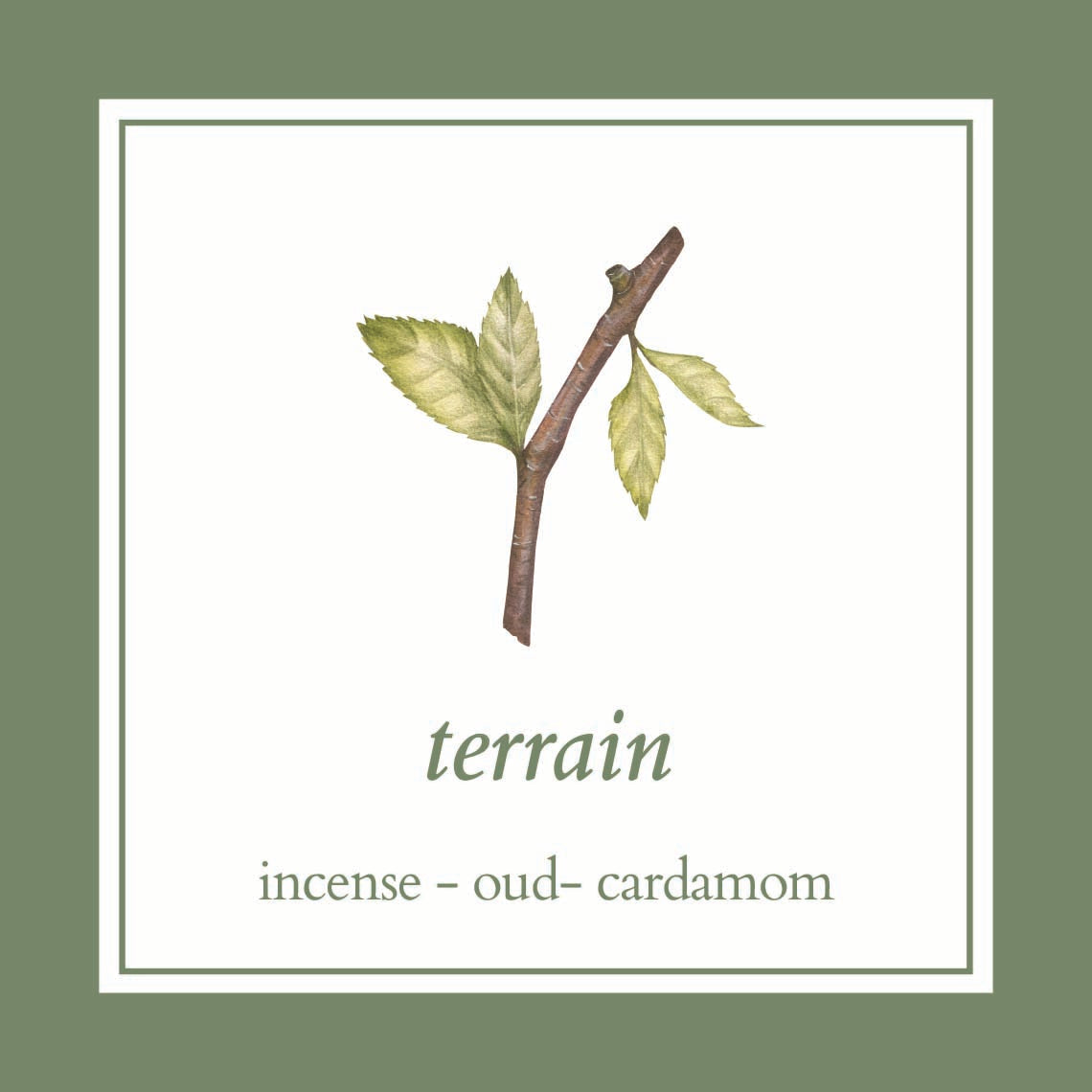 terrain