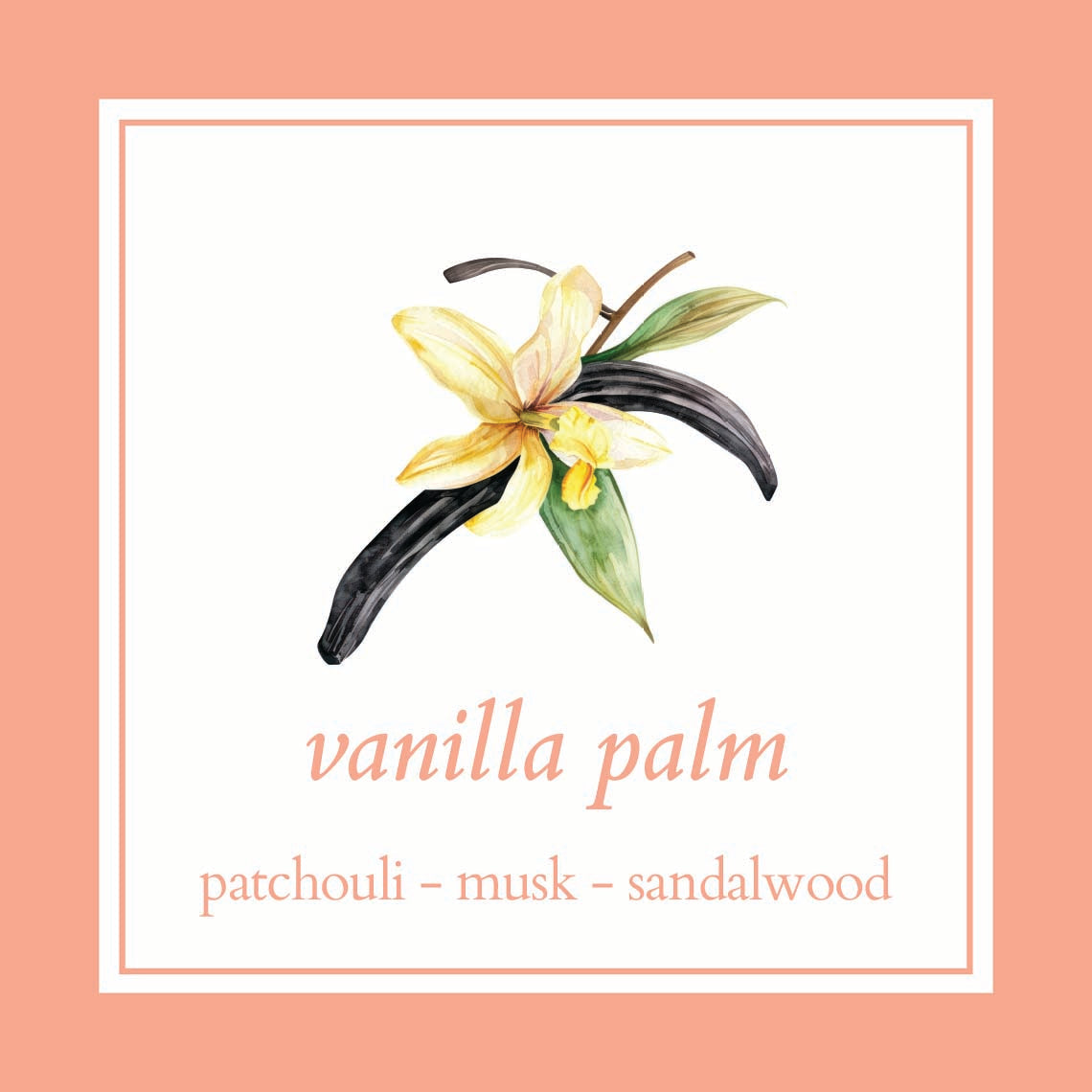 vanilla palm