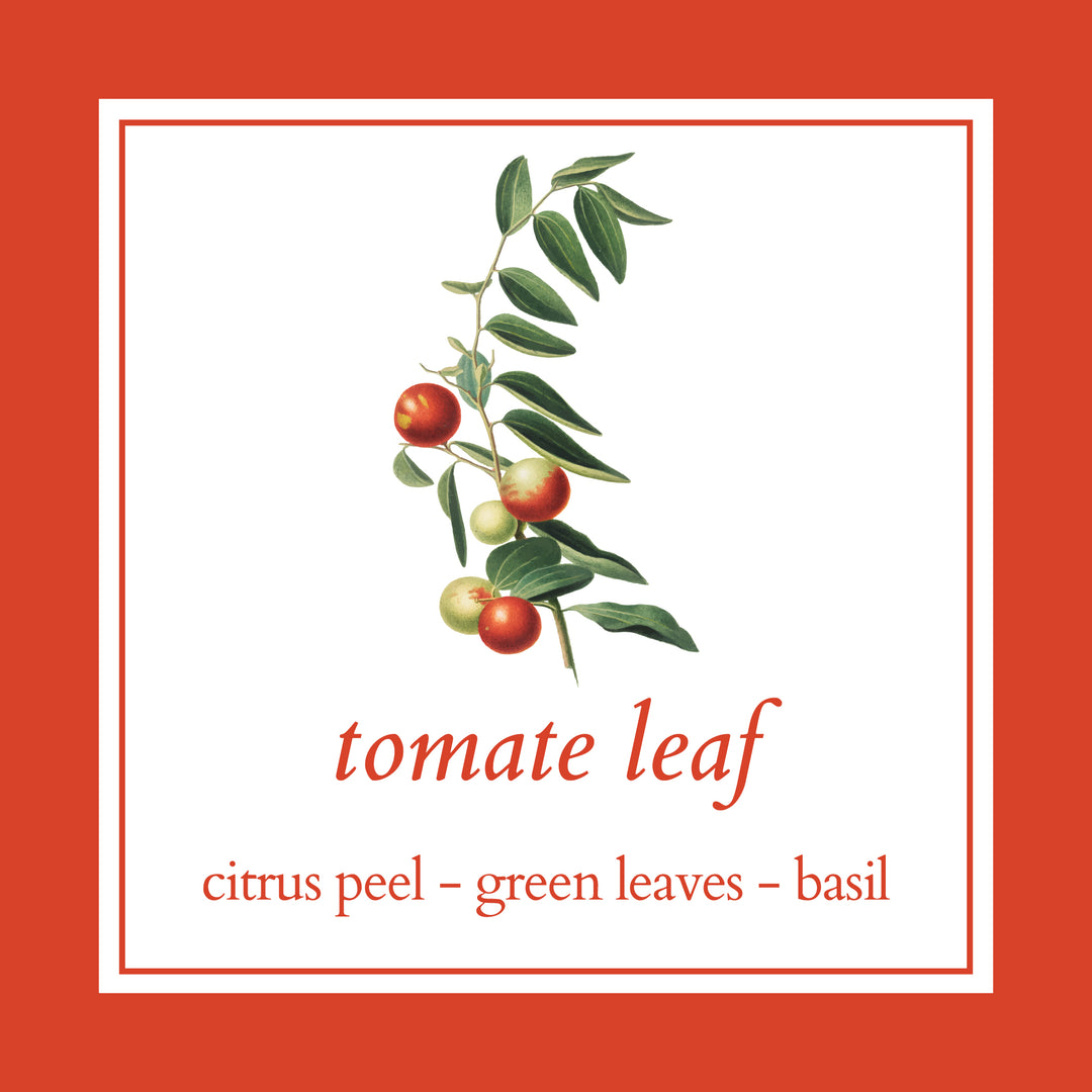 tomate leaf home &amp; linen spray - herba botanicals