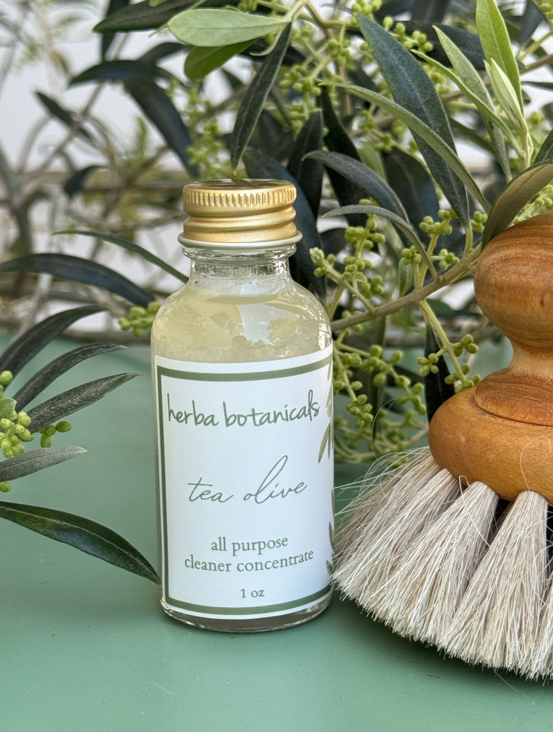 tea olive all purpose cleaner - herba botanicals