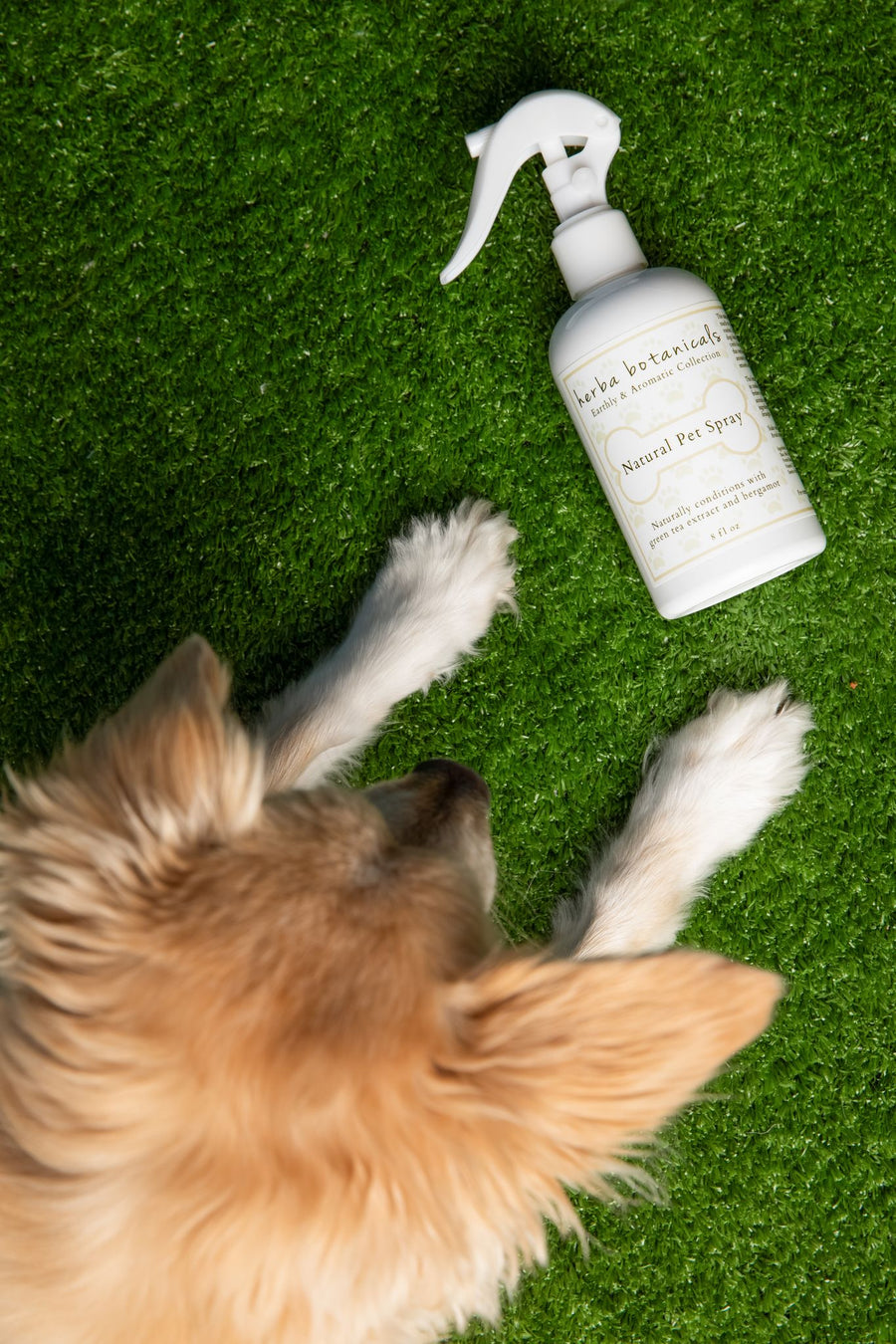natural pet spray - herba botanicals