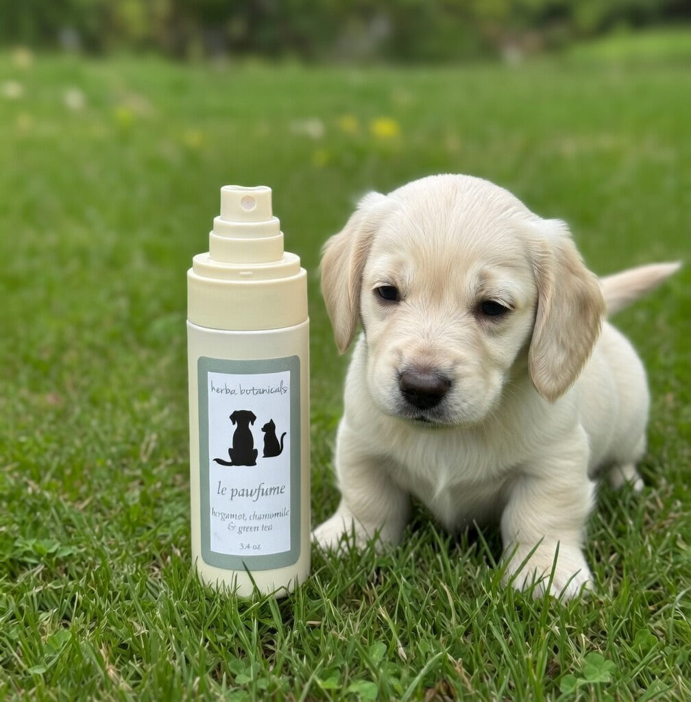 natural pet spray - herba botanicals