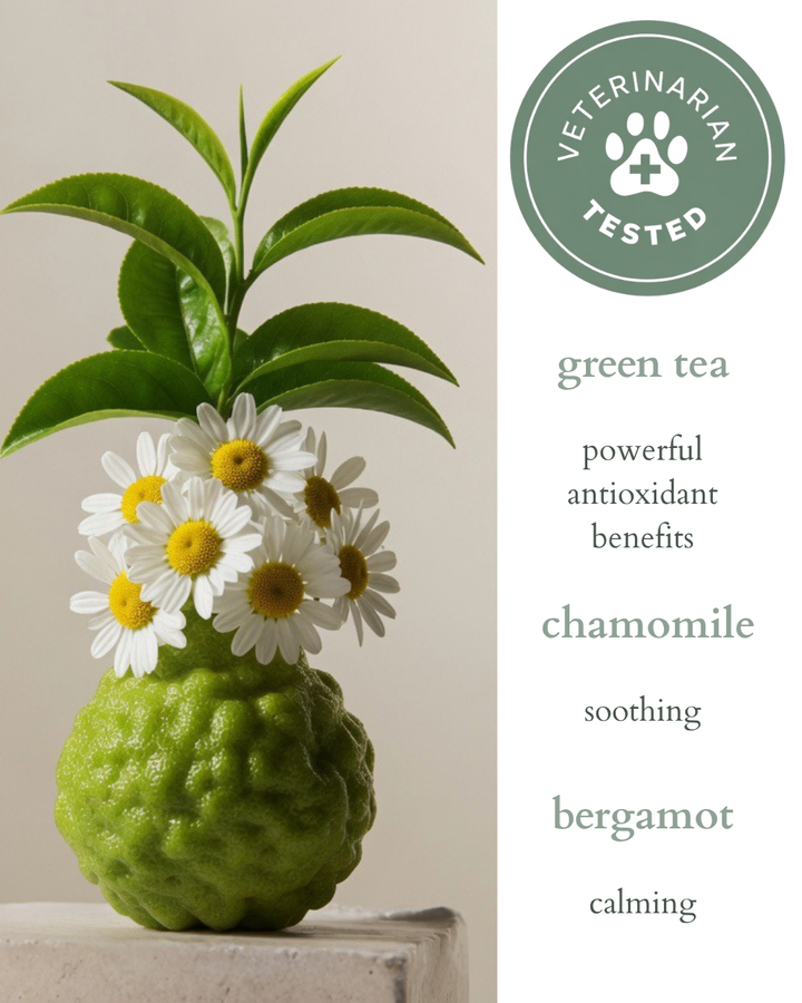 pet fragrance