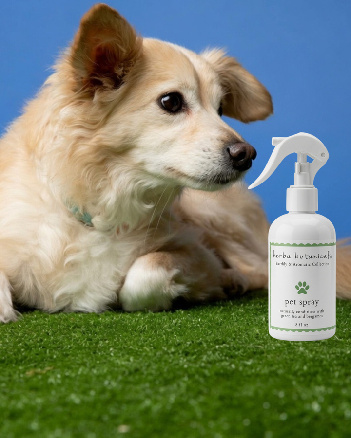 pet fragrance