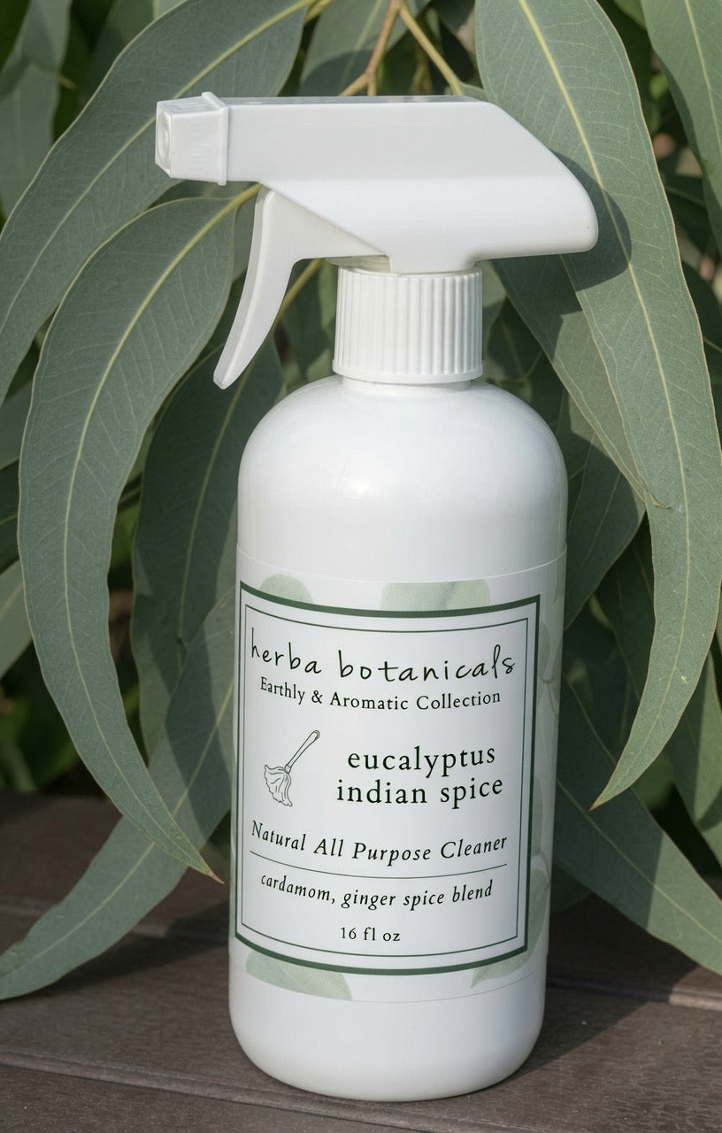 natural surface cleaner