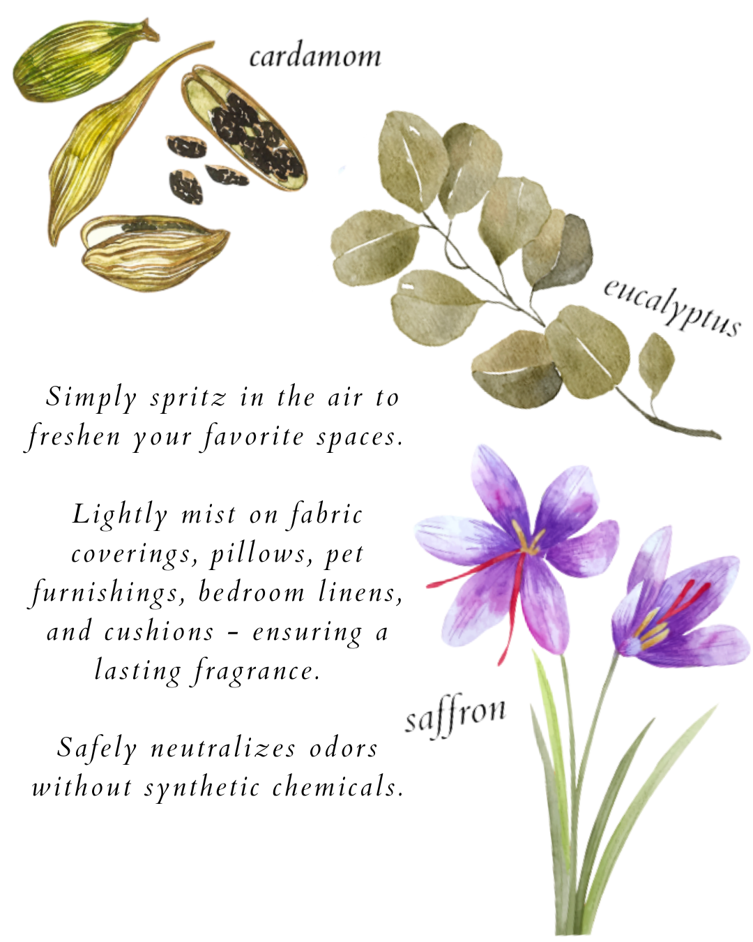 eucalyptus indian spice home & linen spray - herba botanicals