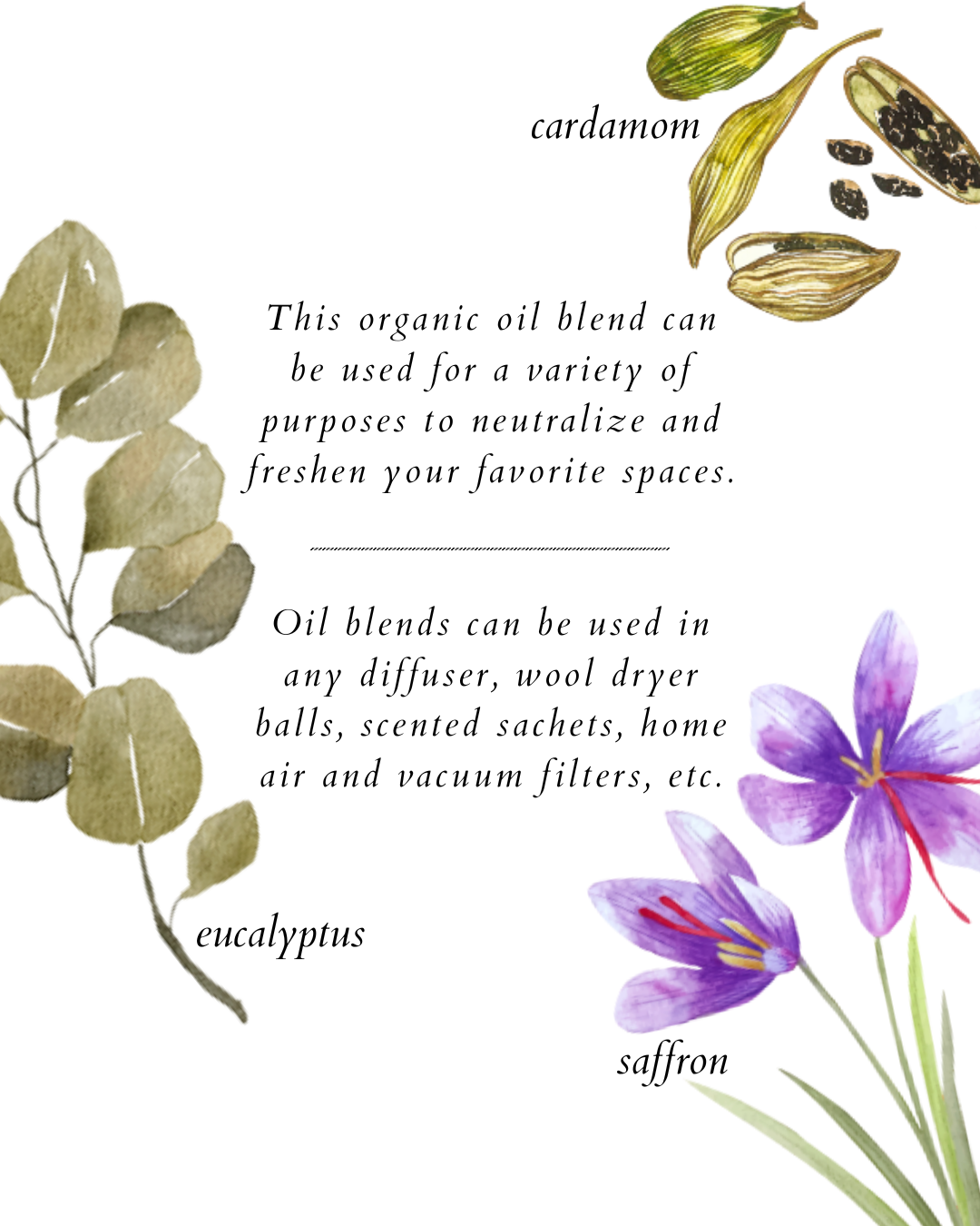 eucalyptus indian spice oil blend - herba botanicals