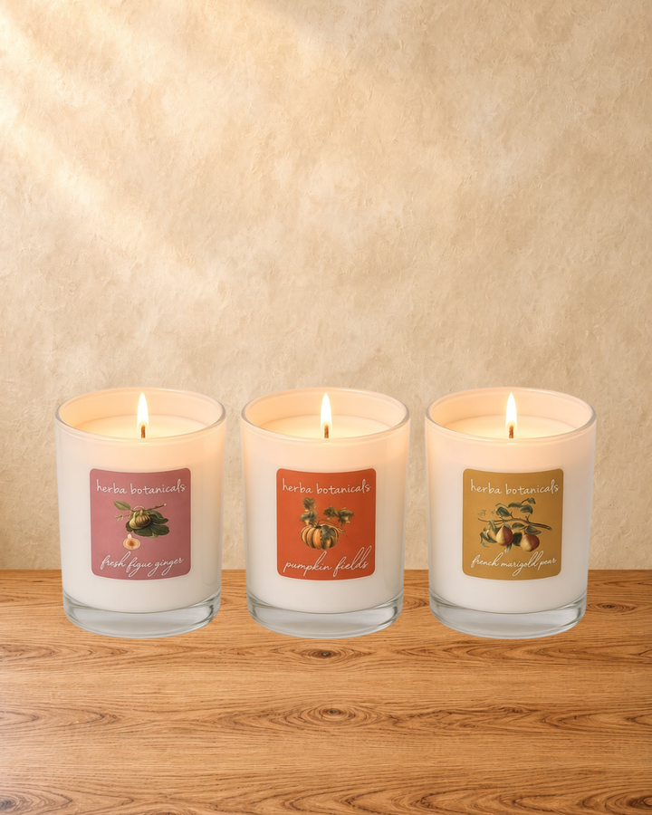 pumpkin fields candle