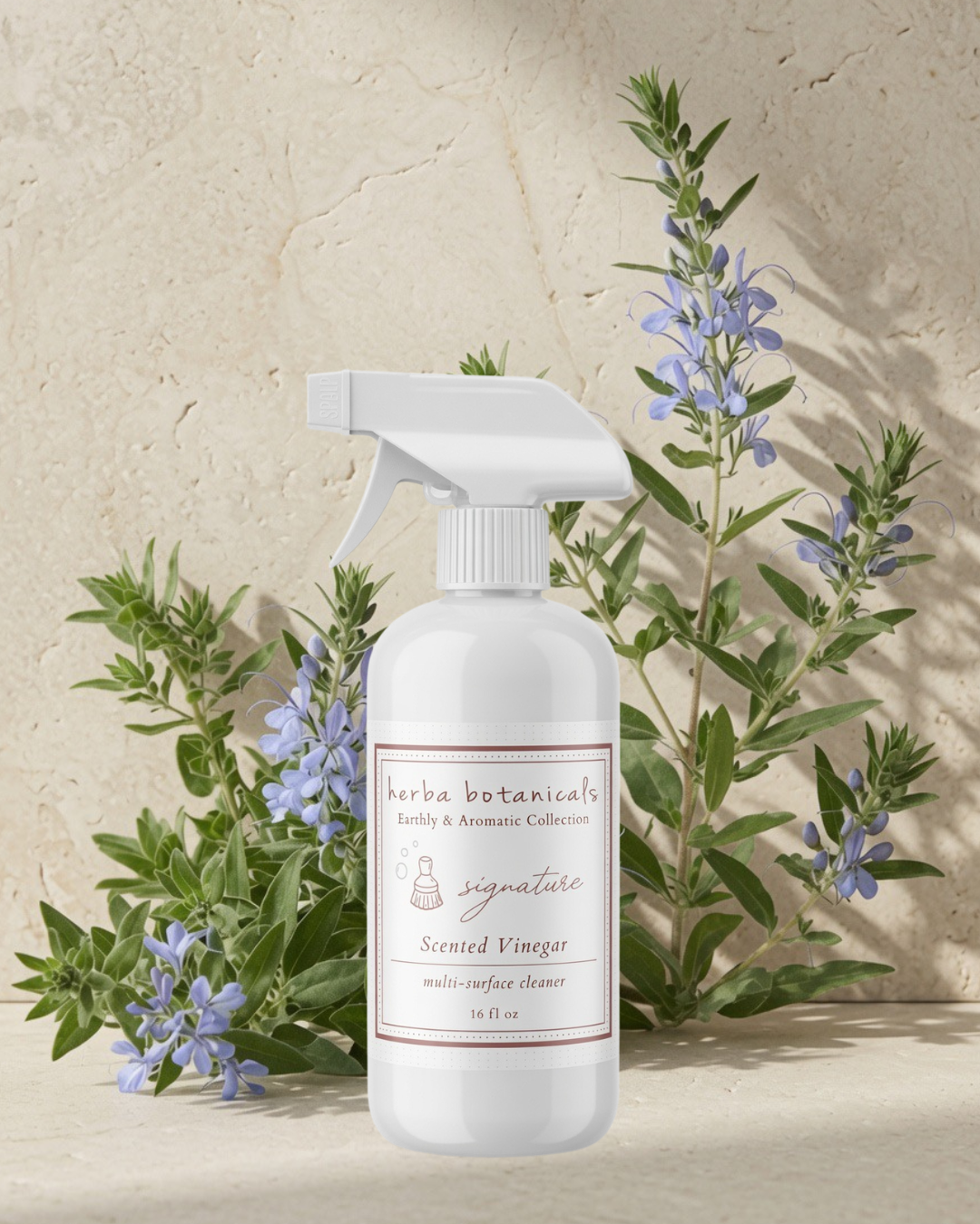 signature cleaning vinegar
