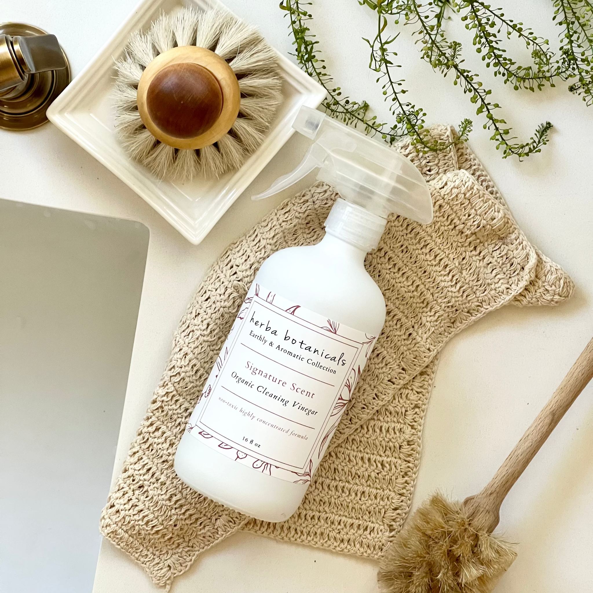 natural surface cleaner