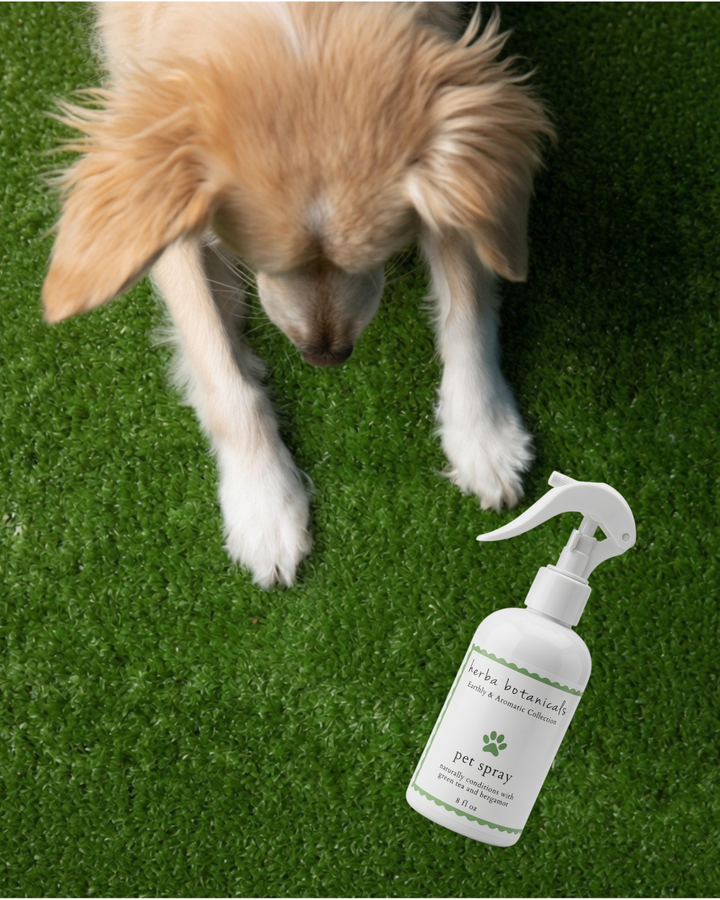 pet fragrance