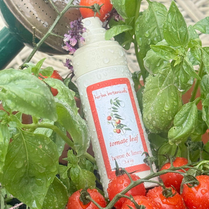 herba botanicals tomate leaf home linen spray