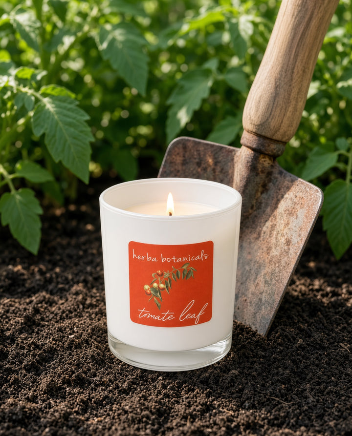 tomate leaf candle