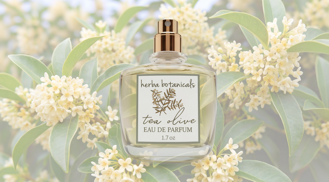 eau de parfum - herba botanicals