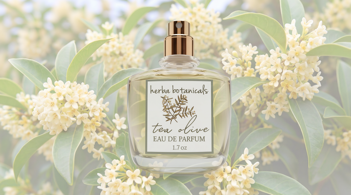 eau de parfum - herba botanicals