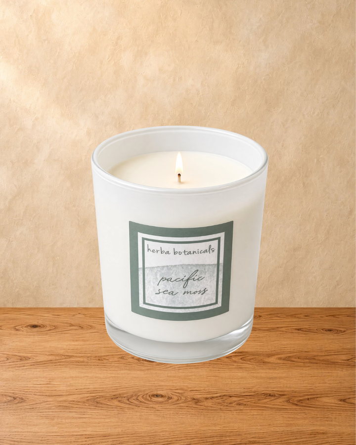 pacific sea moss candle