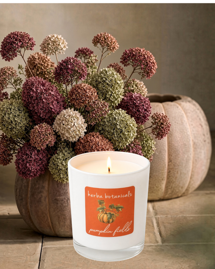 pumpkin fields candle