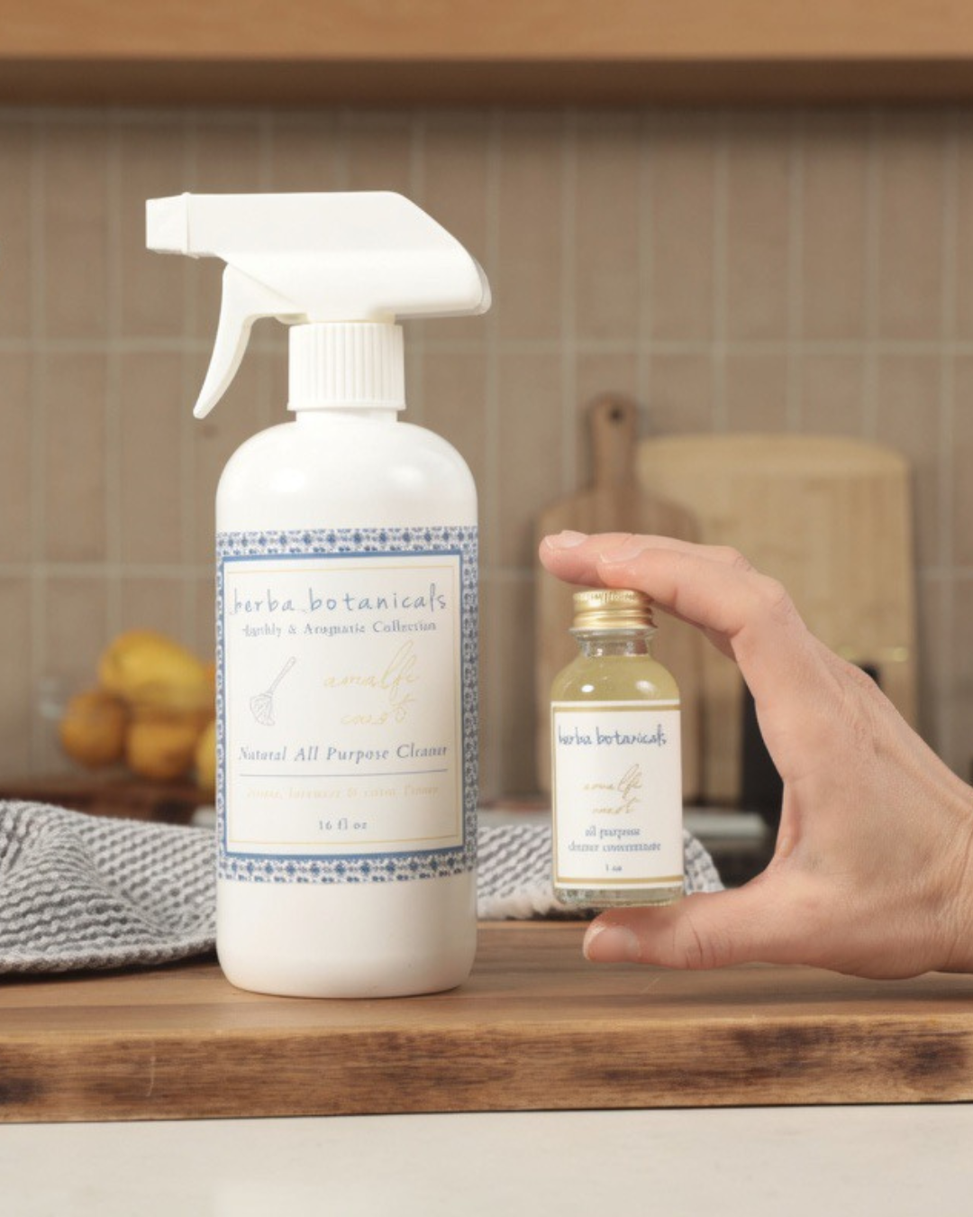 cleaner concentrate