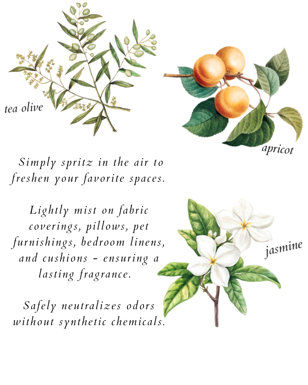 tea olive home & linen spray - herba botanicals